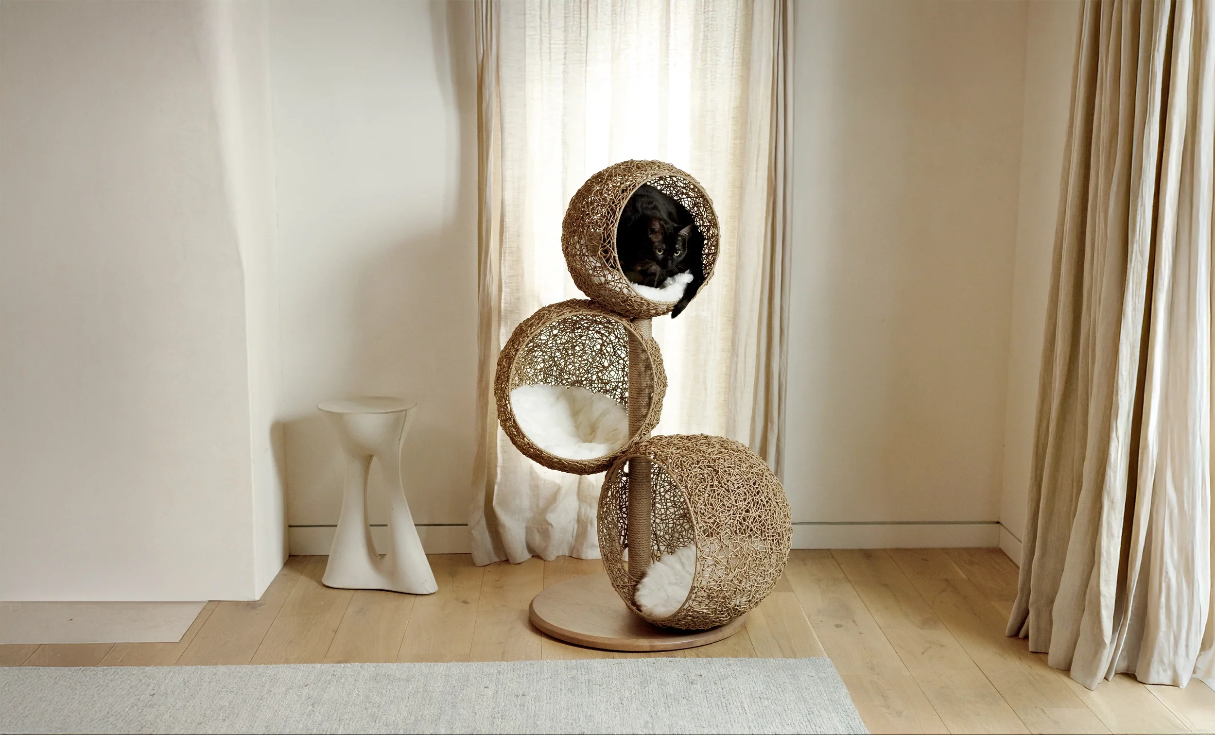 Modern Design for Sophisticated Cats