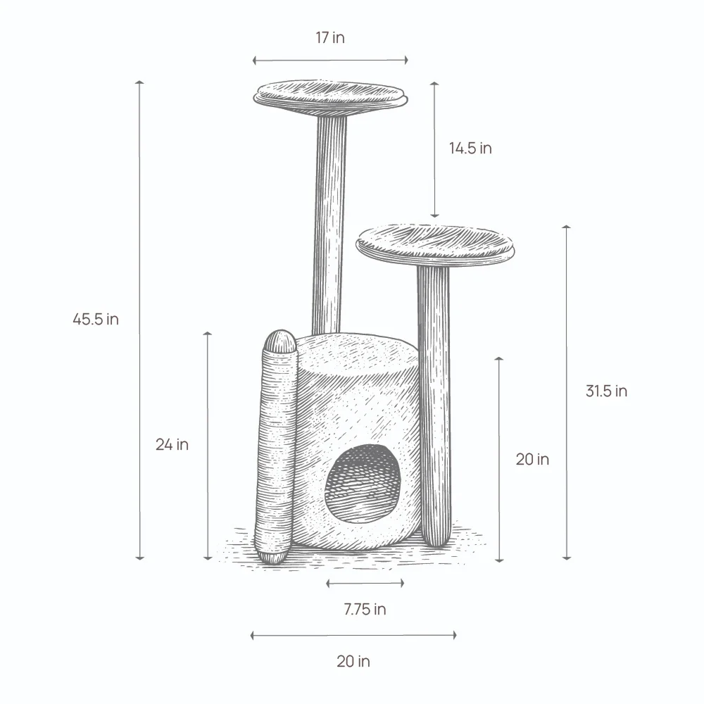 Bao - Image 14