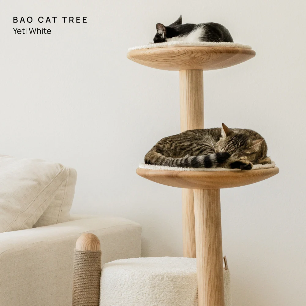 Cushion (For Bao & Gravity) - Image 2