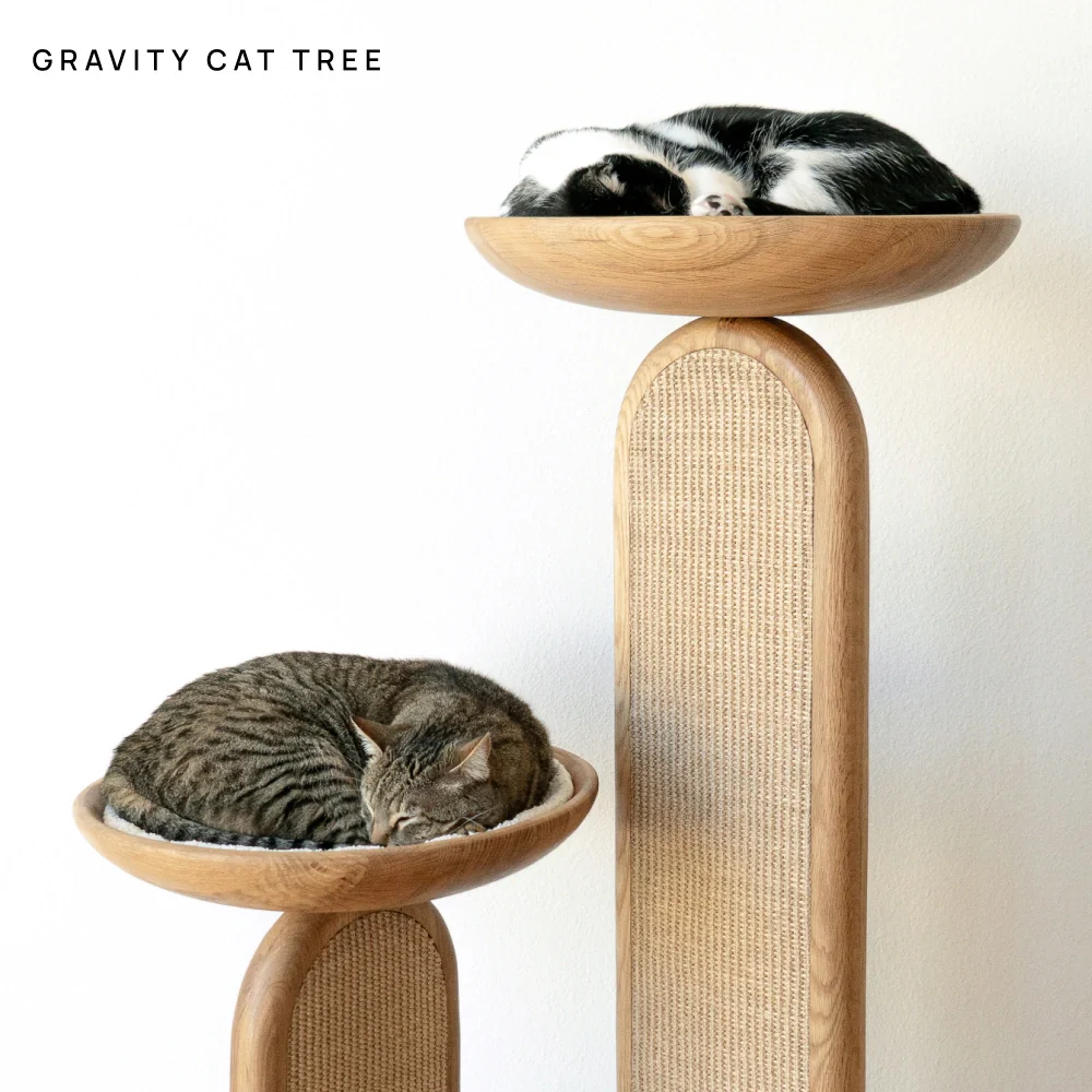 Cushion (For Bao & Gravity) - Image 4