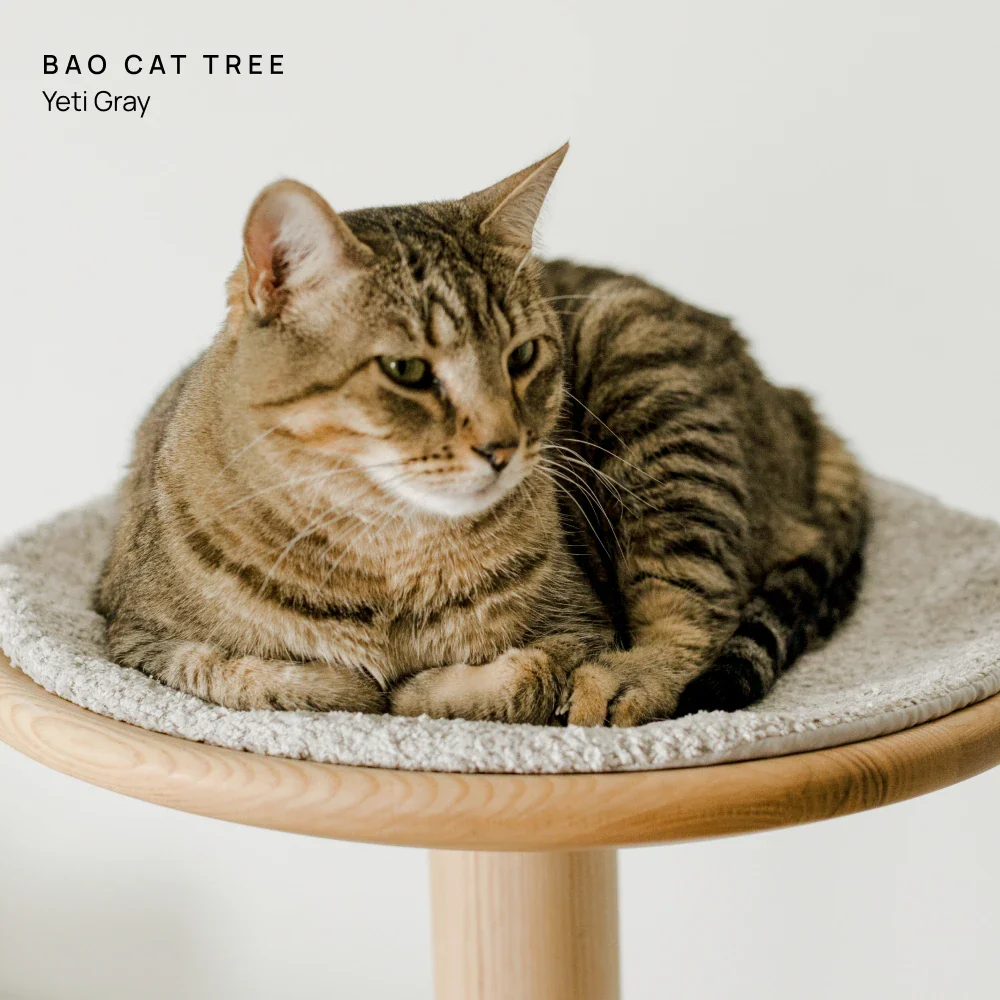 Cushion (For Bao & Gravity) - Image 8