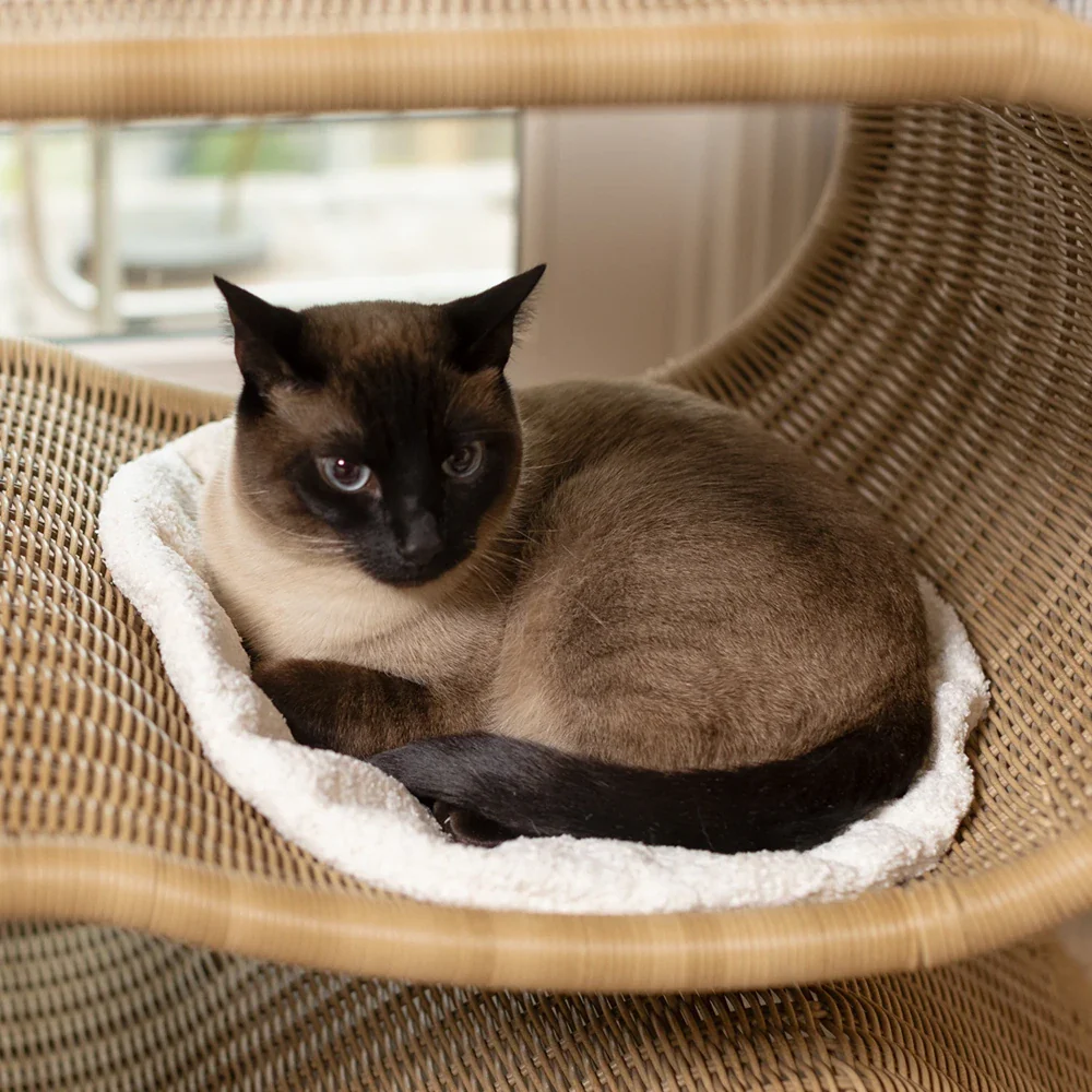 Cushion (For Snake) - Image 3