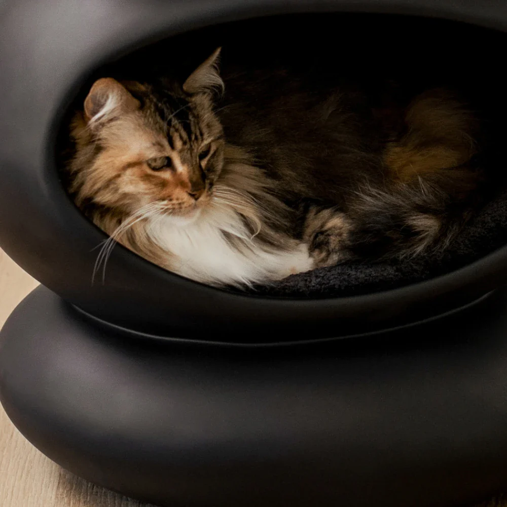 Cushion (For Zen) - Image 8