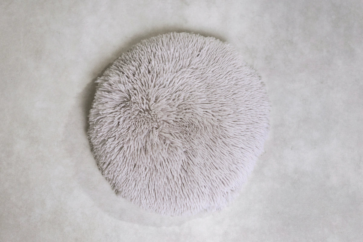 Cushion (Choose Color) - Image 44