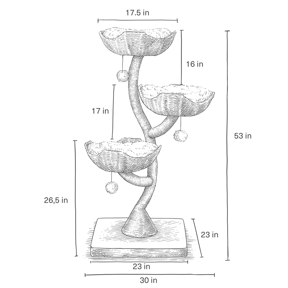 Ivy 3 - Image 12