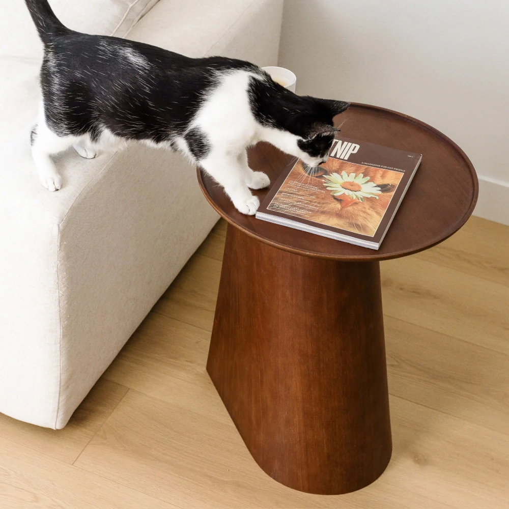 Kona Scratcher - Image 11