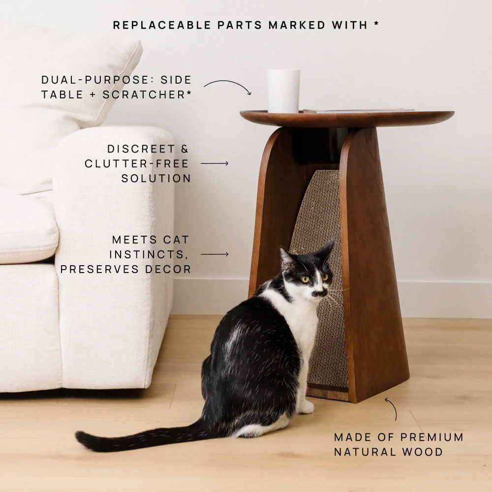 Kona Scratcher - Image 14