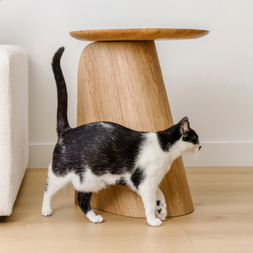 Kona Scratcher - Image 3