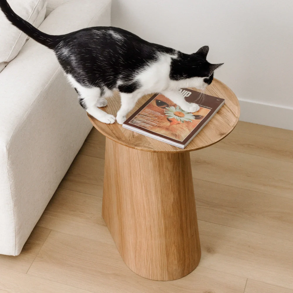 Kona Scratcher - Image 4