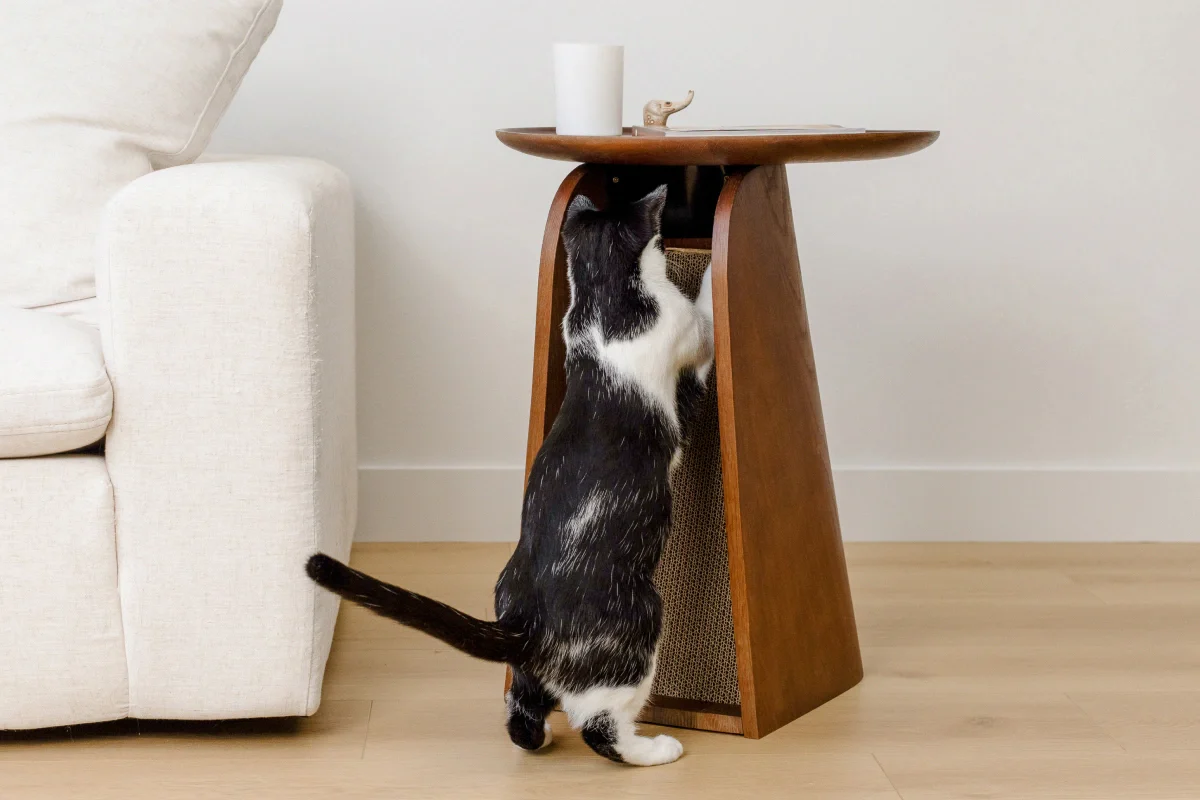 Kona Scratcher - Image 9