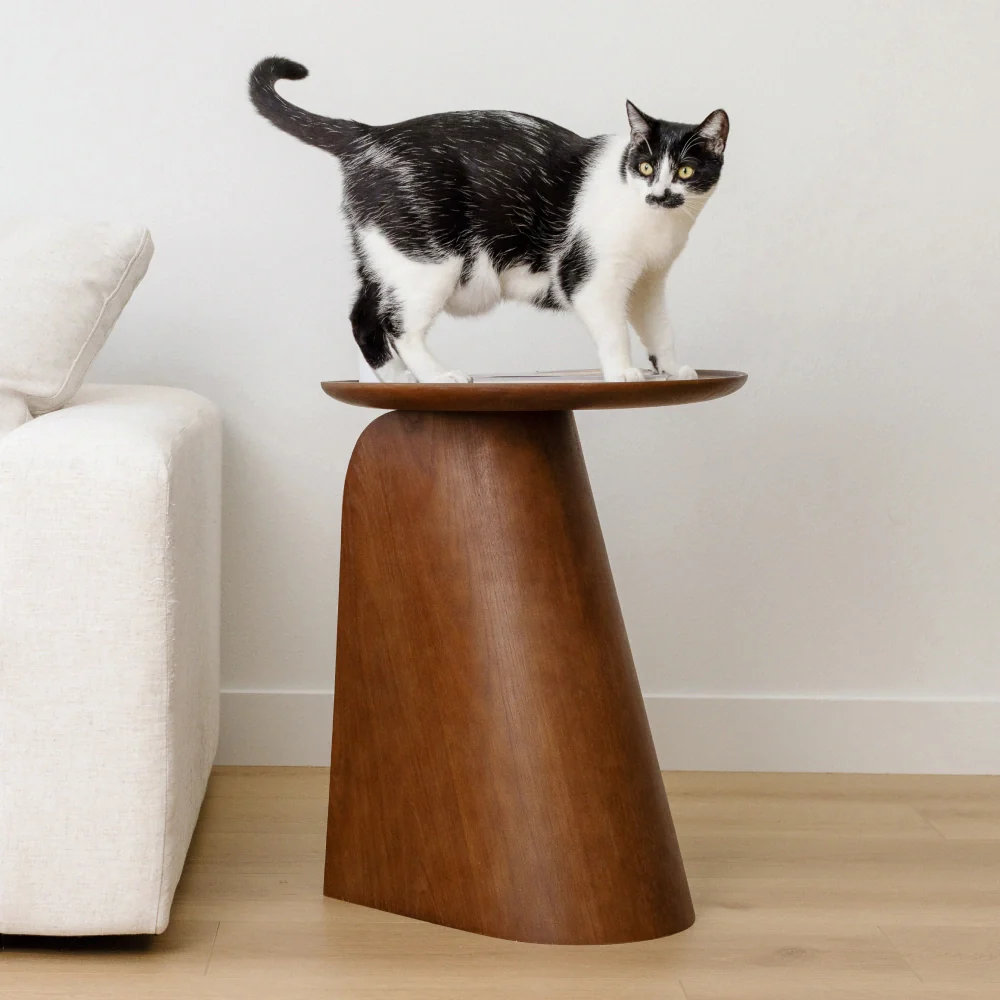 Kona Scratcher - Image 10