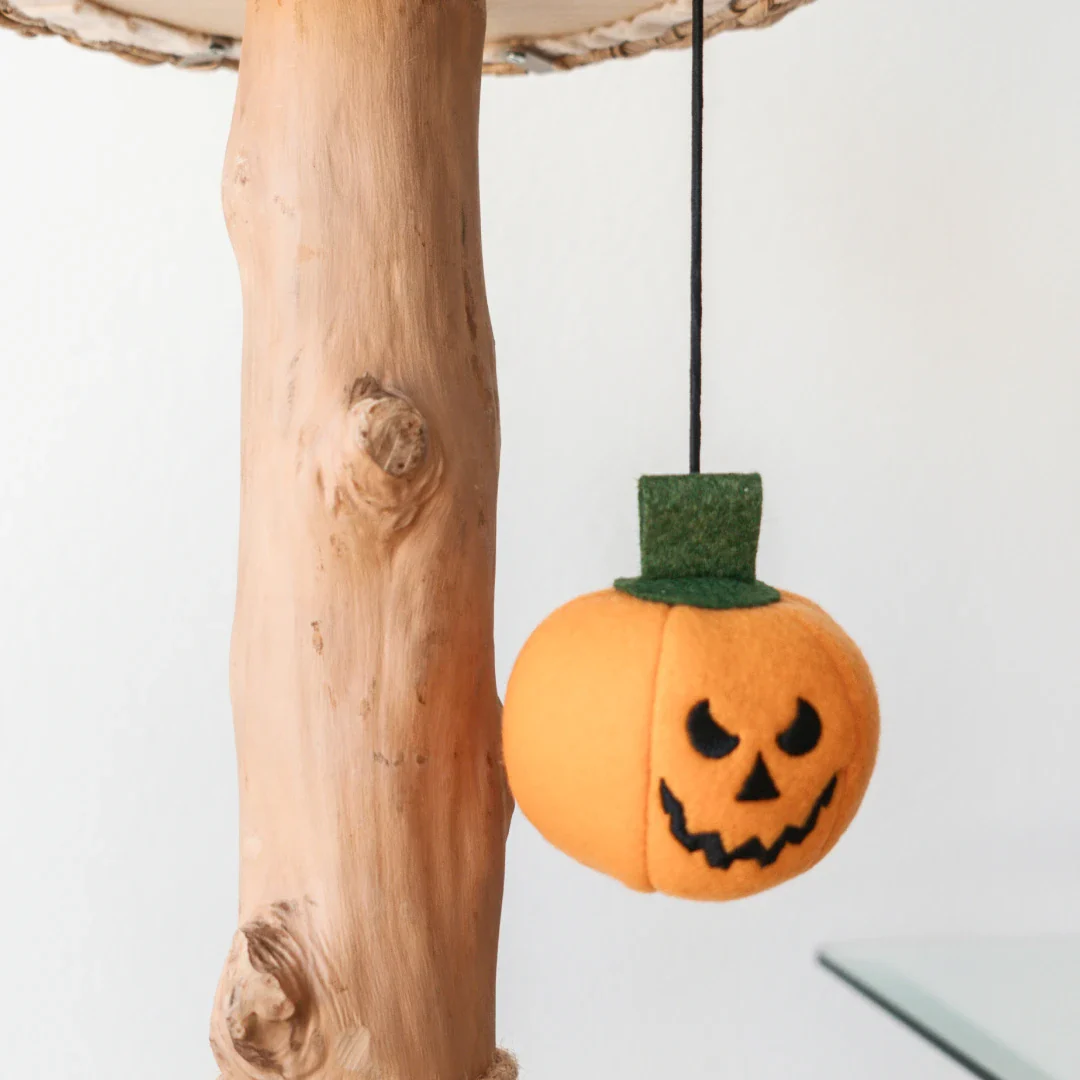 Limited Edition Halloween Pom-Poms - Image 5