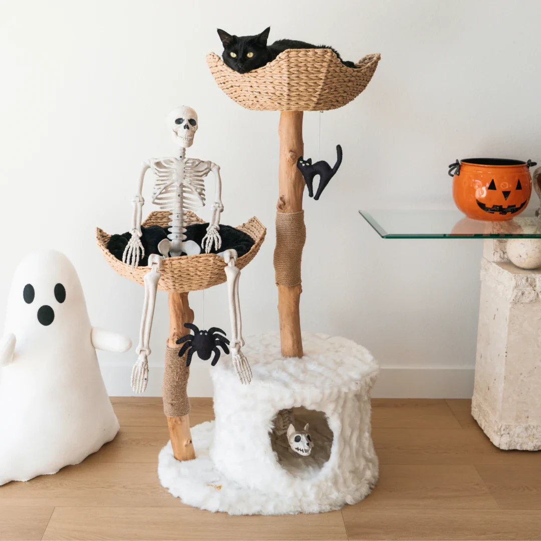 Limited Edition Halloween Pom-Poms - Image 7