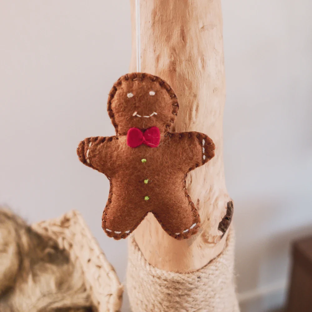 Limited Edition Holiday Pom-Poms - Image 4