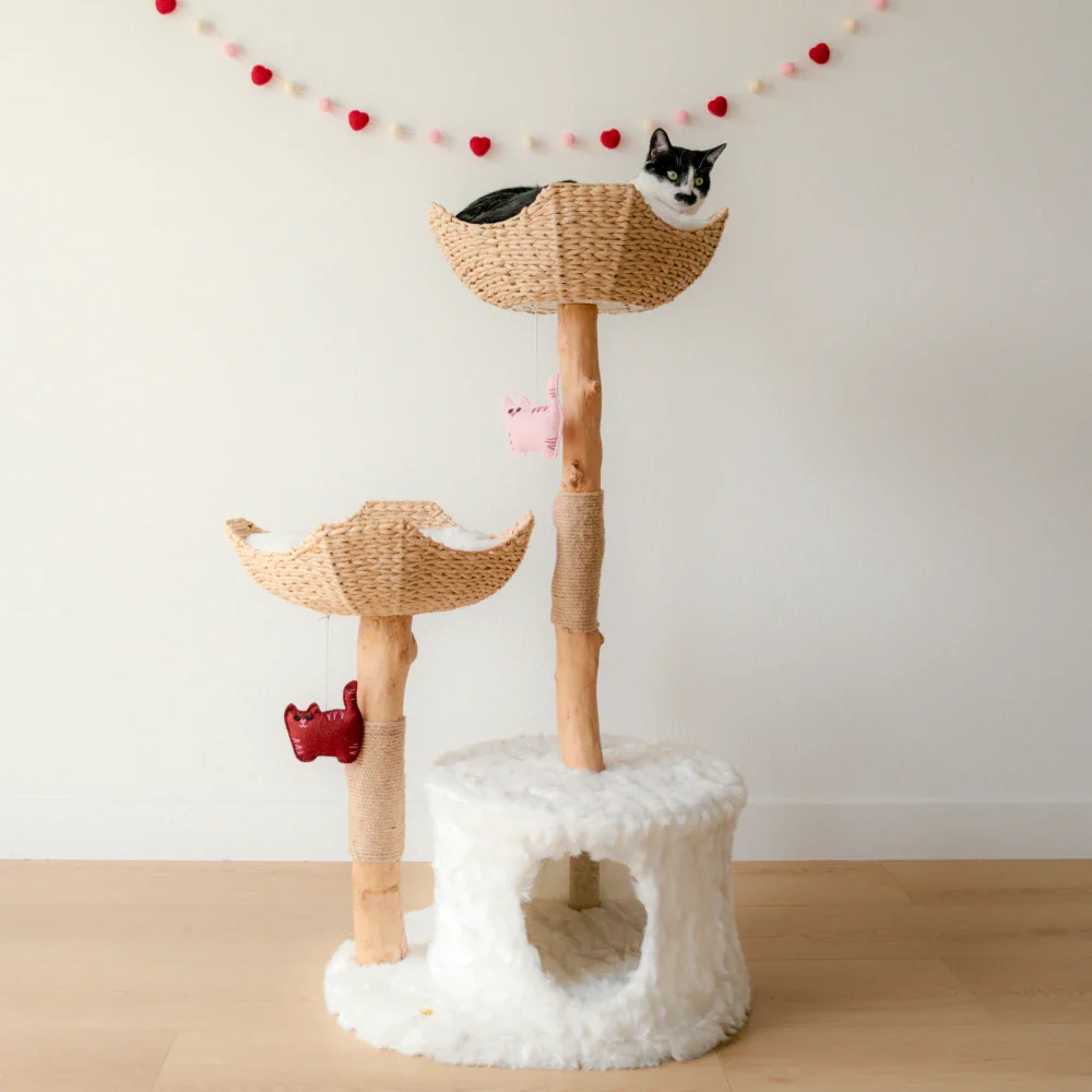 Limited Edition Sweetheart Kitty-Cat Pom-Poms - Image 2