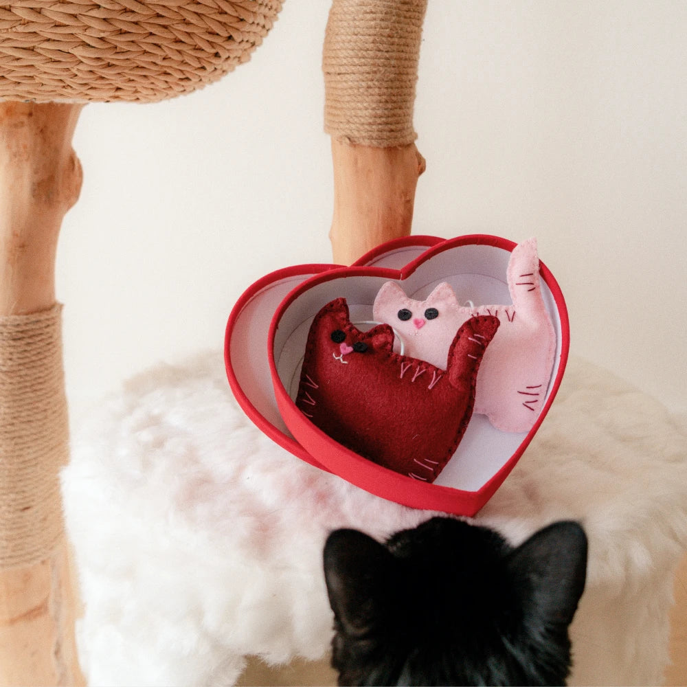 Limited Edition Sweetheart Kitty-Cat Pom-Poms - Image 3