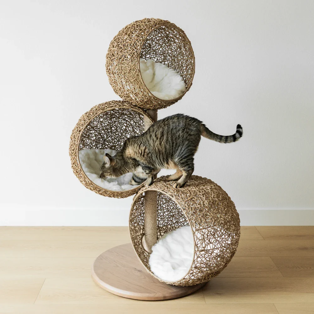 Lua Scratching Post - Image 2