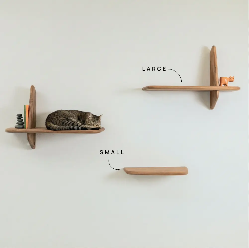 Pebbles - Image 3