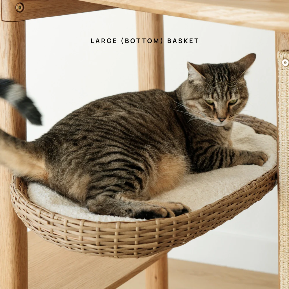Basket (For Reiya) - Image 10