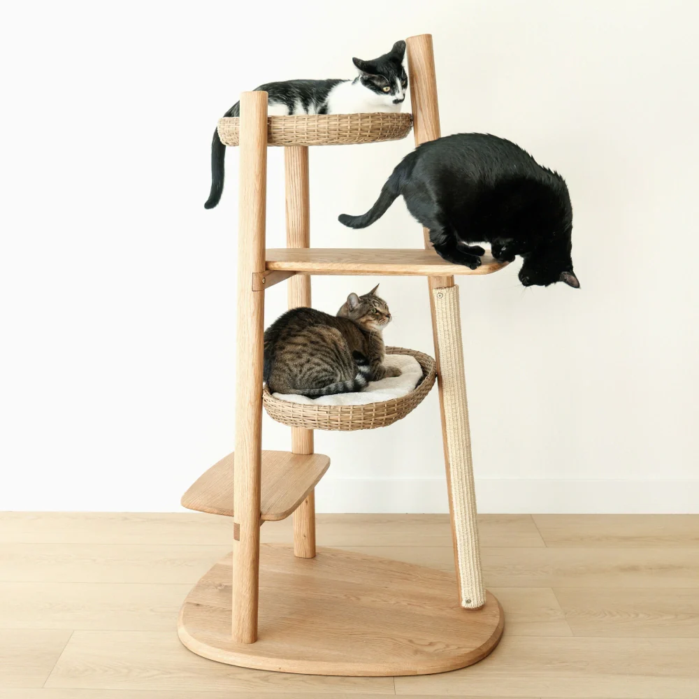 Basket (For Reiya) - Image 7