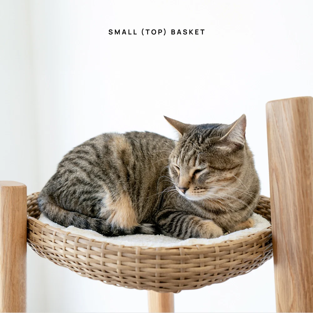 Basket (For Reiya) - Image 9