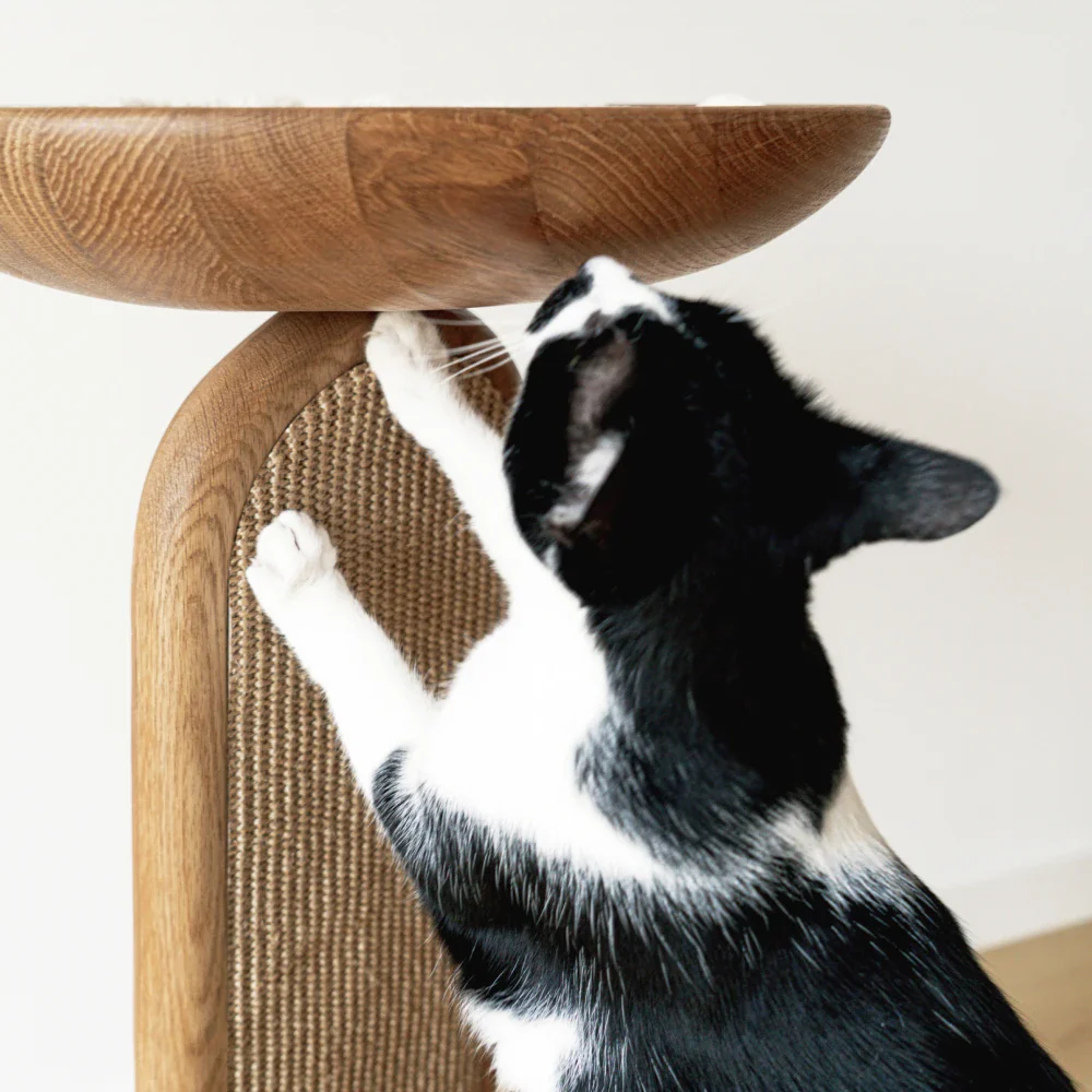2x Scratching Pads (For Gravity) - Image 3