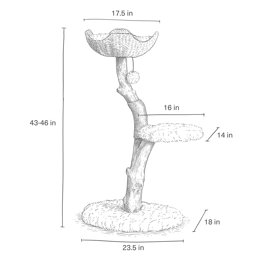 Uni - Image 6