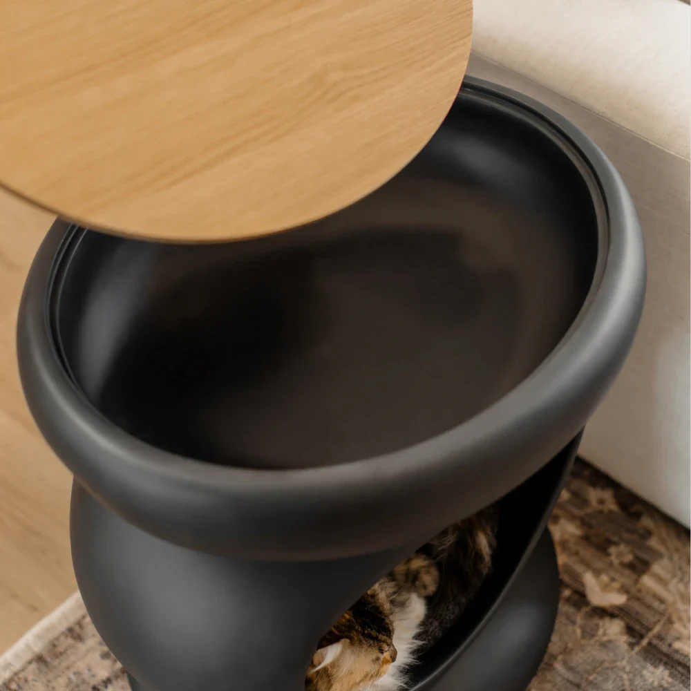 Zen - Image 12